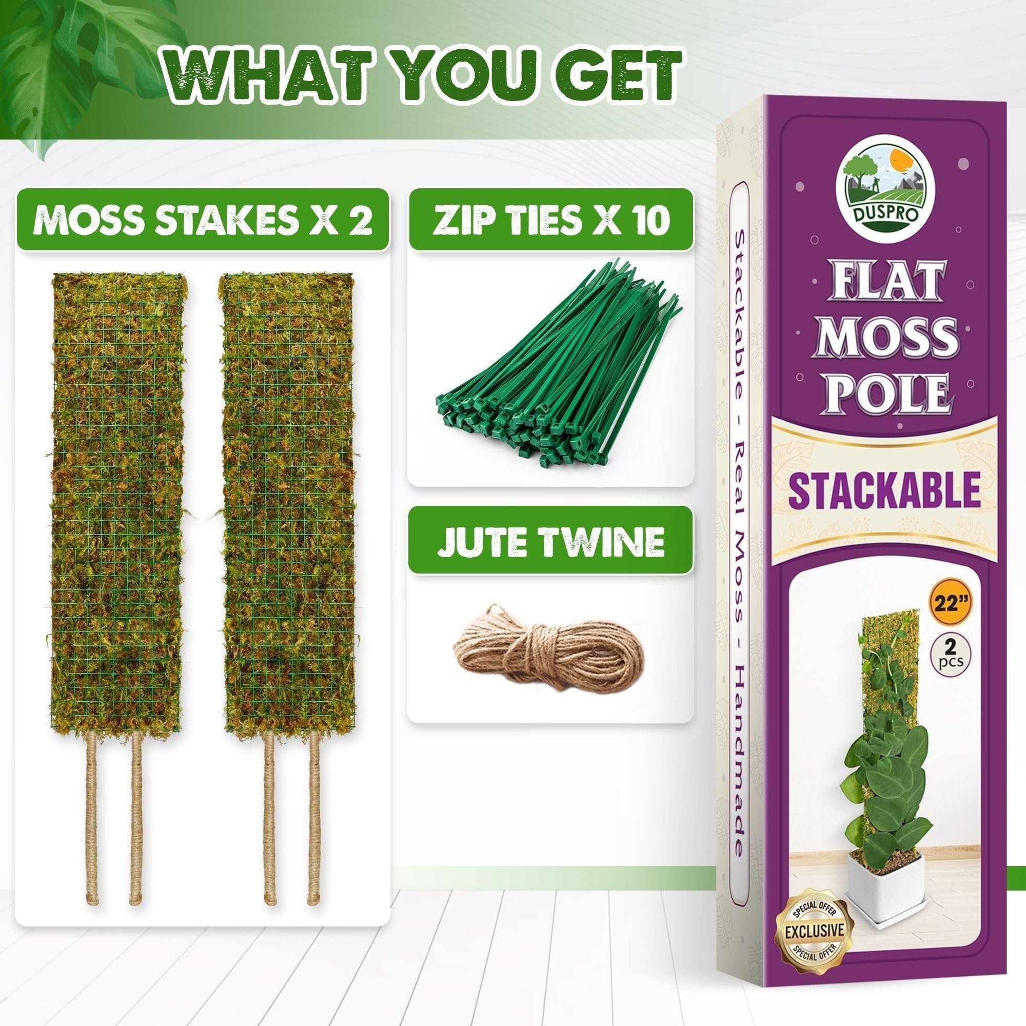 Amazon.com : DUSPRO Flat Mesh Moss Poles for Climbing Plants